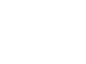 Willful