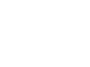 Toronto Life — Growth Strategy & Performance Marketing Toronto Life logo